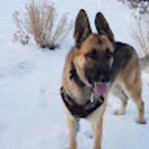 Meet your Posher, Ron